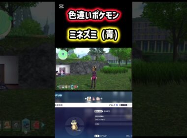 色違いポケモンの青ミネズミをゲット！ #ポケモン #pokemon #ポケモンレジェンズZA #ポケットモンスター #シベリアチャンネル