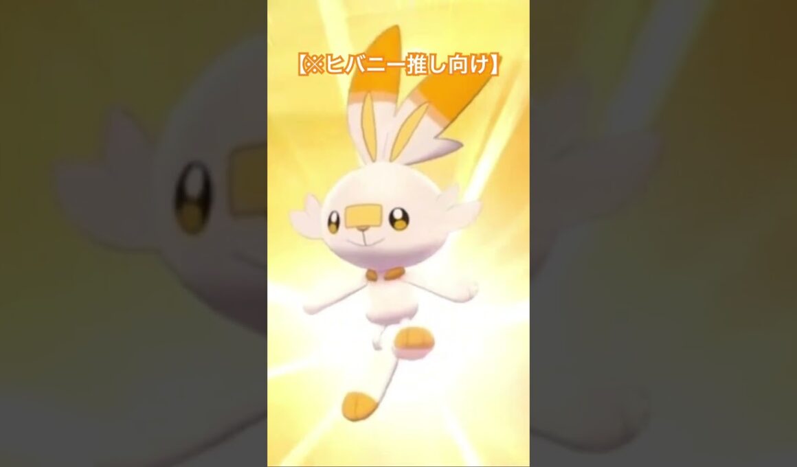 ヒバニー(Scorbunny)好きな人のために。#ポケモン #ヒバニー #Scorbunny #pokemon #色違い #shinypokemon
