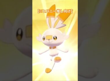 ヒバニー(Scorbunny)好きな人のために。#ポケモン #ヒバニー #Scorbunny #pokemon #色違い #shinypokemon