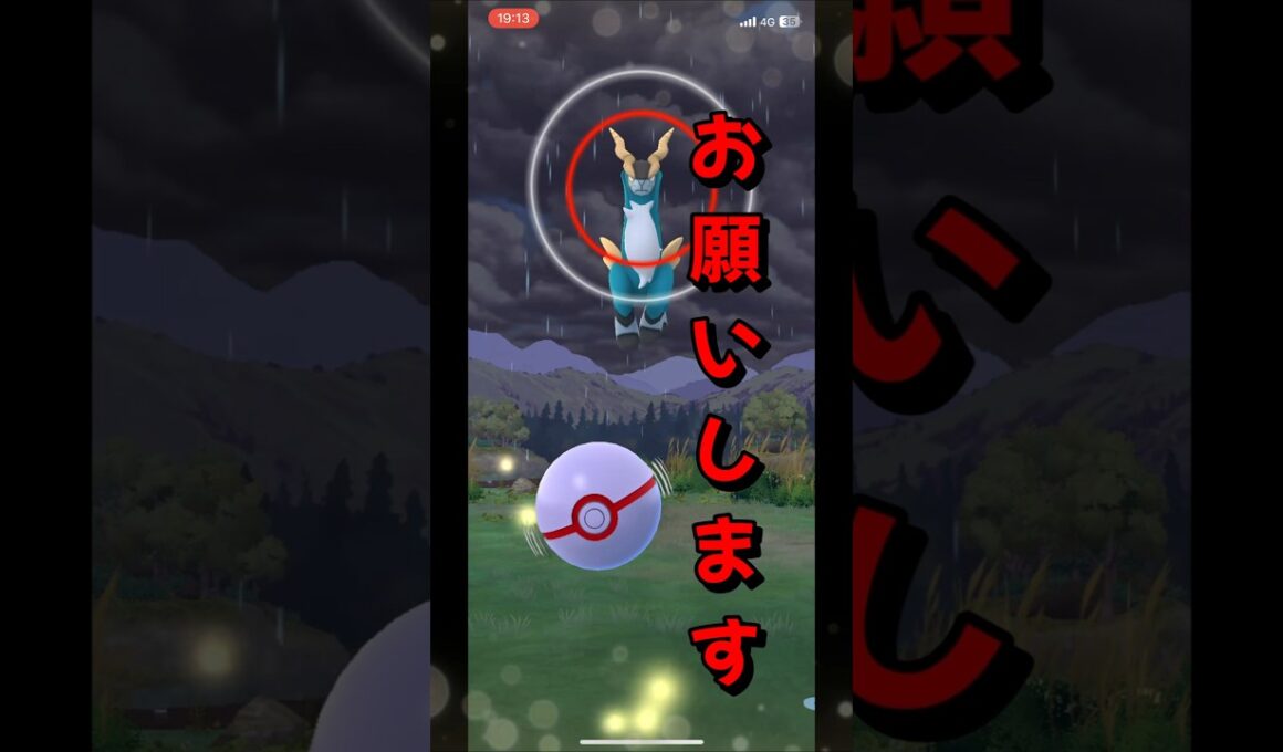 【ポケモンGO】今度こそ！準伝説コバルオンをゲットしたい！#ポケモンgo #ポケモン #Shorts