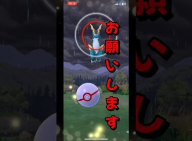 【ポケモンGO】今度こそ！準伝説コバルオンをゲットしたい！#ポケモンgo #ポケモン #Shorts