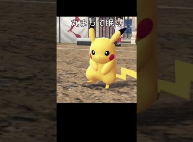 アローラライチュウ眠り方 #ポケモン #ポケモンza #ピカチュウ #ピチュー #ライチュウ