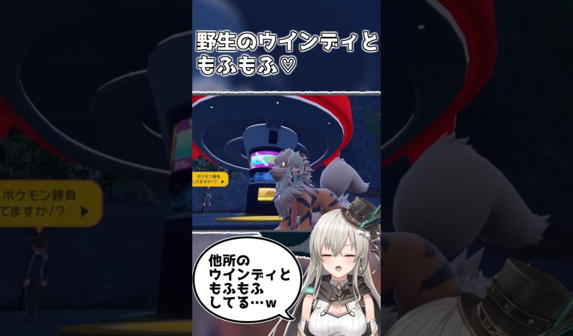 野生のウインディともふもふした♡【ポケモンSV／スカーレット】 #Shorts