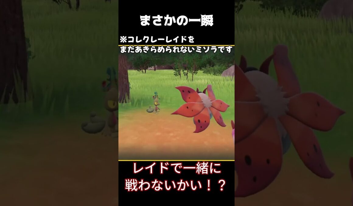 【ポケモンSV】キモリの色違い厳選で起きた、まさかの一瞬 #ポケモンsv