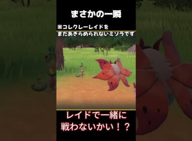 【ポケモンSV】キモリの色違い厳選で起きた、まさかの一瞬 #ポケモンsv