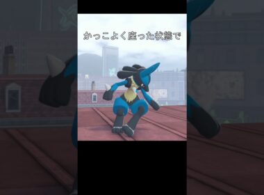ルカリオ　座って眠る　#ポケモン #ポケモンza #リオル #ルカリオ
