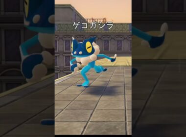 ケロマツ、ゲッコウガ移動　歩き　#ポケモン #ポケモンza #ケロマツ #ゲッコウガ #メガシンカ