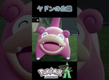 【ポケモンZA】ヤドンのちょっと可愛い生態 #shorts #ポケモン #ポケモンza #pokemon #pokemonza