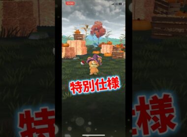 【ポケモンGO】可愛すぎるハロウィンヒメグマの個体値！？ #ポケモンgo #ポケモン #Shorts