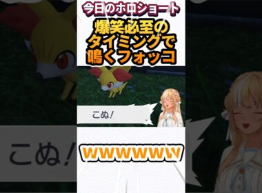 【爆笑】神タイミングで鳴くフォッコにツボるふーたん【ホロライブ/ホロライブ切り抜き/ポケモンZA/不知火フレア/ホロライブ3期生/shorts/ホロライブゲーム】