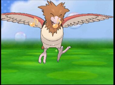 ポケパルレ　オニスズメと戯れるだけの動画