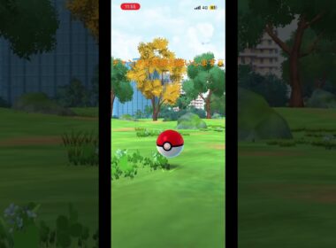 【マジか...】まさかの“野生色違いガーディ”🔥 #pokemongo #ポケモン #shorts