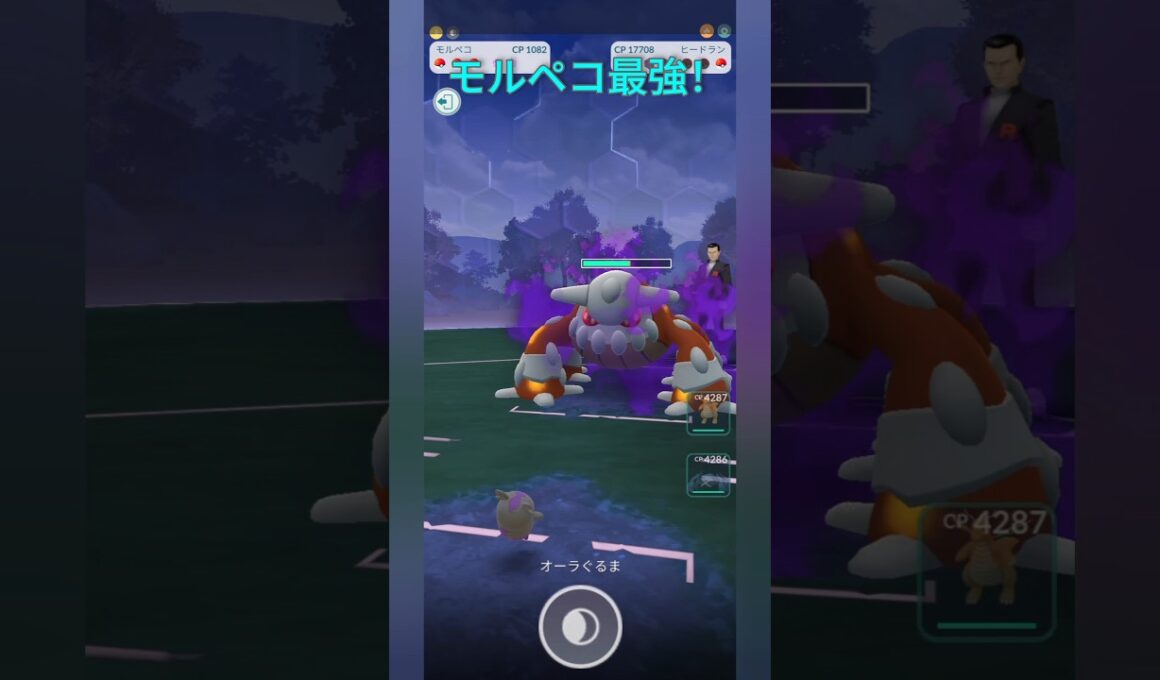 【ポケモンGO】モルペコ1匹でサカキ討伐！#shorts #ポケモンgo #pokemongo