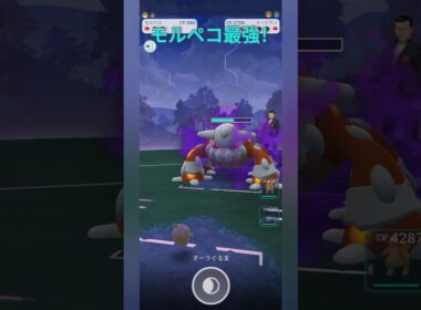 【ポケモンGO】モルペコ1匹でサカキ討伐！#shorts #ポケモンgo #pokemongo