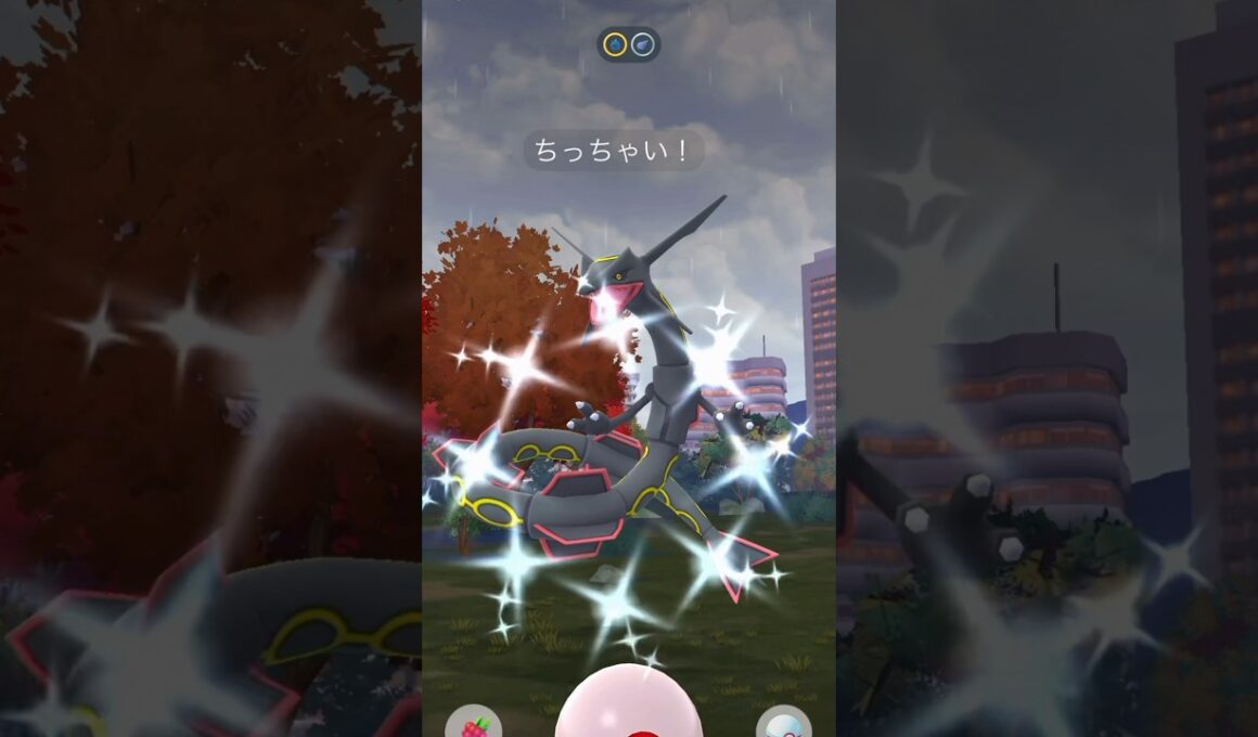 【ポケモンGO】メガレックウザ！レイドデイで高個体＆色違いチャレンジ！！#nintendo #pokemon #pokemongo #shorts #ポケモン #ポケモンgo #レックウザ #色違い