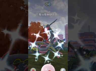 【ポケモンGO】メガレックウザ！レイドデイで高個体＆色違いチャレンジ！！#nintendo #pokemon #pokemongo #shorts #ポケモン #ポケモンgo #レックウザ #色違い
