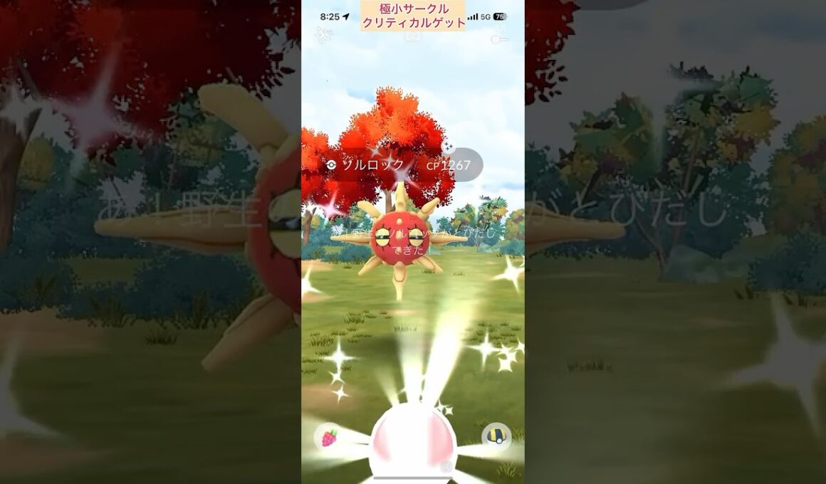 【難易度低】色違いソルロック極小サークルクリティカルゲット【ポケモンGO】