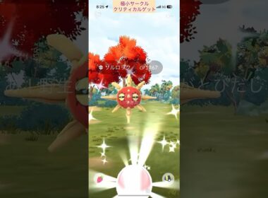 【難易度低】色違いソルロック極小サークルクリティカルゲット【ポケモンGO】