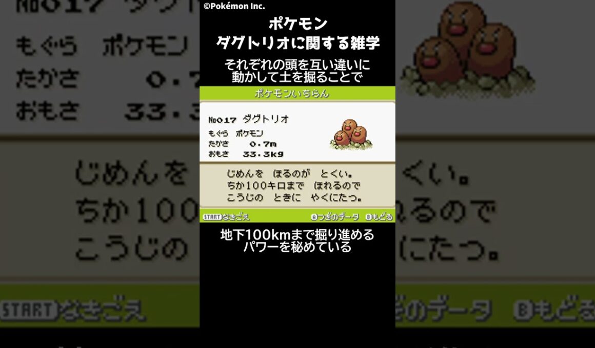 ポケモン 1分でわかるダグトリオに関する雑学・豆知識 Pokemon #ポケモン #pokemon #ポケットモンスター