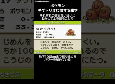 ポケモン 1分でわかるダグトリオに関する雑学・豆知識 Pokemon #ポケモン #pokemon #ポケットモンスター