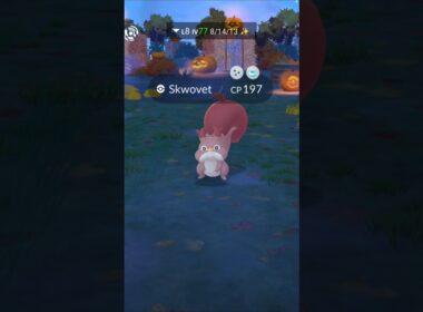 Got shiny ✨ skwovet in pokemon go ! #shorts #viral #pokemongo #trending #shortsvideo