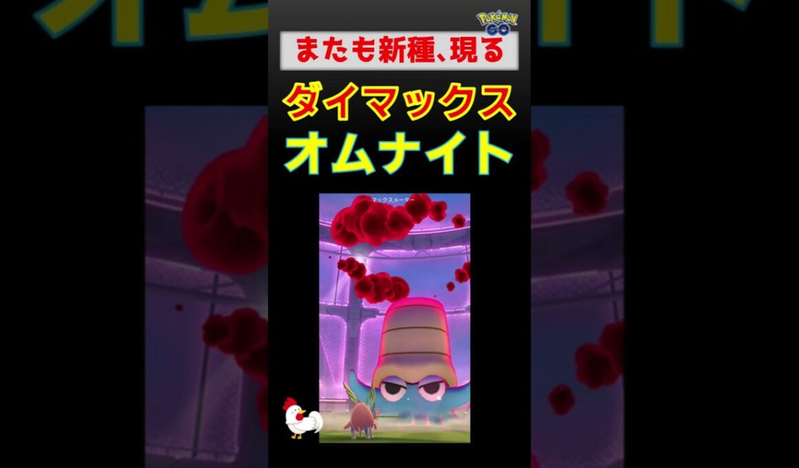 予告編【かわいい新種！ダイマックス オムナイト！２人討伐】 #ポケモンgo #pokemongo #ダイマックス #ポケモン #オムナイト #ザシアン