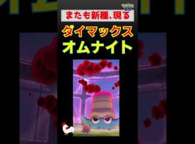 予告編【かわいい新種！ダイマックス オムナイト！２人討伐】 #ポケモンgo #pokemongo #ダイマックス #ポケモン #オムナイト #ザシアン