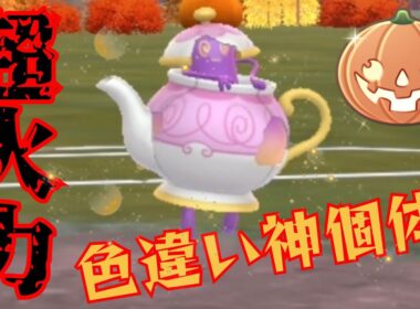 【異次元】破壊力がエグすぎてまさに諸刃の剣？！ポットデスの対戦動画がまじで楽しそうなんだがwww【GBL】【ハロウィンカップ】