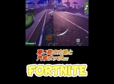 カスタムマッチで汽車ポッポ✨#fortnite #エンジョイ #カスタムマッチ