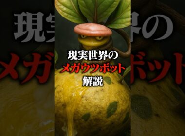 【ポケモン】現実世界にメガウツボットがいたら…#ポケモン #ai #メガシンカ #ポケモンレジェンズza
