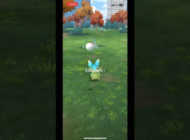 【ポケモンGO】カラナクシにエクセレントスロー！
