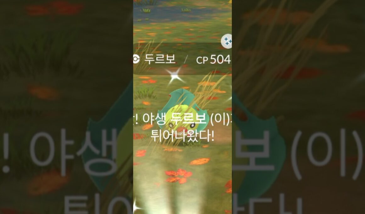 이번엔 두르보 이로치 잡기!!!!!!