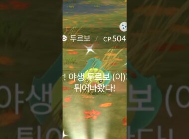 이번엔 두르보 이로치 잡기!!!!!!