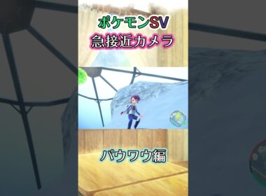【ポケモンSV】パウワウを7合目辺りから麓まで引きずり下ろす流れを見るだけの動画 #ポケモン #ポケモンsv #パウワウ #shorts