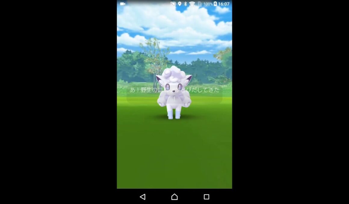 【個体値100%】色違いアローラロコン【ポケモンGO】