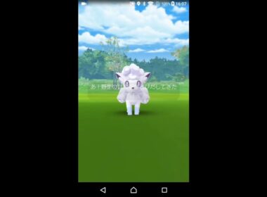 【個体値100%】色違いアローラロコン【ポケモンGO】
