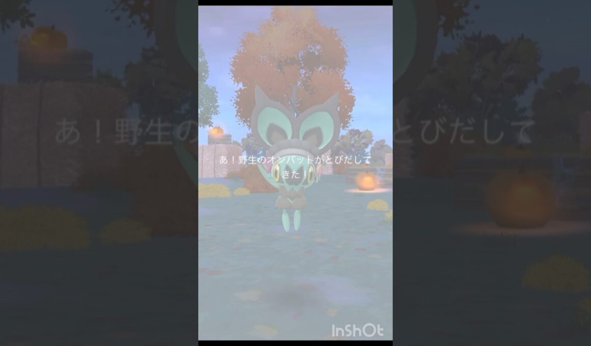 ハロウィン色違い カチューシャをつけた「 オンバット 」【 ポケモンgo 】オンバット → オンバーン ！#ポケモン #ポケモンgo #pokemon #pokemongo #ハロウィン #オンバット