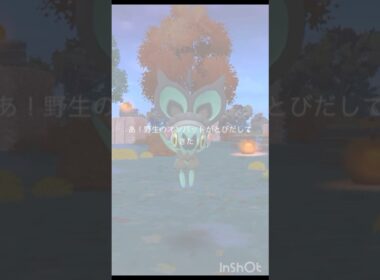 ハロウィン色違い カチューシャをつけた「 オンバット 」【 ポケモンgo 】オンバット → オンバーン ！#ポケモン #ポケモンgo #pokemon #pokemongo #ハロウィン #オンバット
