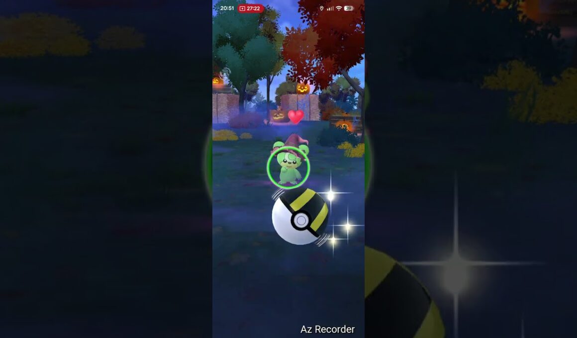 【ポケモンGO】ヒメグマ (魔女の帽子)色違い① #ポケモンgo #pokemongo #おさんぽおこう