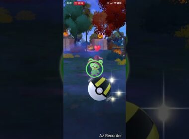 【ポケモンGO】ヒメグマ (魔女の帽子)色違い① #ポケモンgo #pokemongo #おさんぽおこう