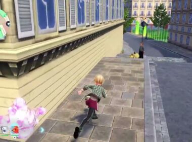 ポケモンZA　ヤヤコマ　色違い　4~6秒にかけて3回ほど画面がクルっと回転し、9秒から最後まで画面の動きが速いです