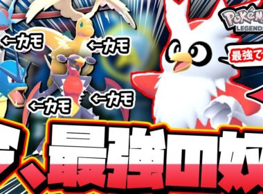 【ガチです】デリバードが今ランクマッチで最強だった！【 ポケモンレジェンズZA 】