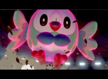 【ポケモン剣盾】モクロー入り飛行統一パでカジュアルバトル【7月22日はモクローの日】