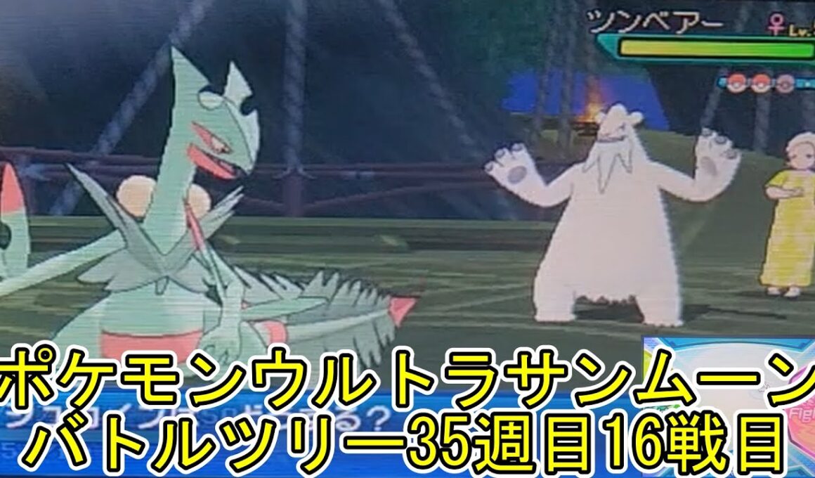 ポケモンウルトラサンムーンバトルツリー35週目16戦目