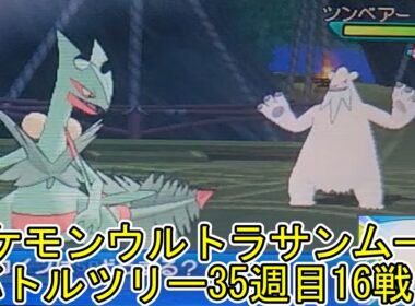 ポケモンウルトラサンムーンバトルツリー35週目16戦目