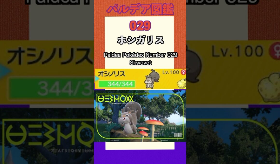 ポケモンSV パルデア図鑑029　ホシガリス　レベル100 #shorts