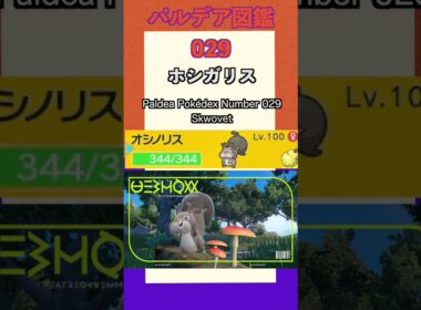 ポケモンSV パルデア図鑑029　ホシガリス　レベル100 #shorts