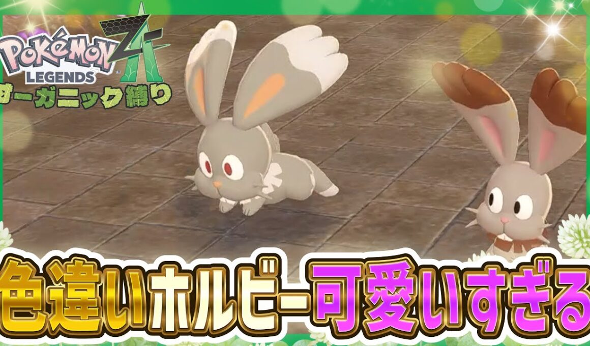 色違いホルビーを捕まえたが気が付かなかったｗｗｗ【Pokémon LEGENDS Z-A】
