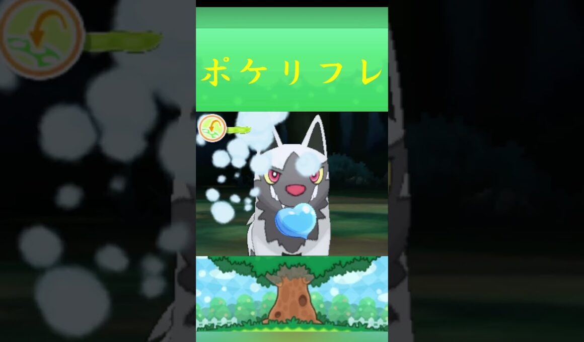 ポケモン ポチエナ　ポケリフレ ポケパルレ #ポケモン #Pokemon  #3DS #ポケモン技 #ポケモンsv #ポケモン#キャンプ #カレー #サンドイッチ #ピクニック