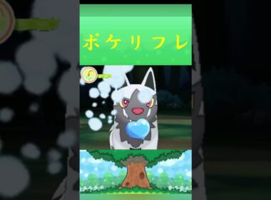 ポケモン ポチエナ　ポケリフレ ポケパルレ #ポケモン #Pokemon  #3DS #ポケモン技 #ポケモンsv #ポケモン#キャンプ #カレー #サンドイッチ #ピクニック